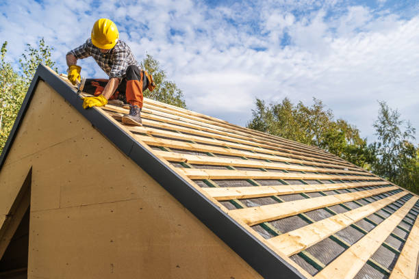 Best Roof Gutter Cleaning  in Greenup, IL