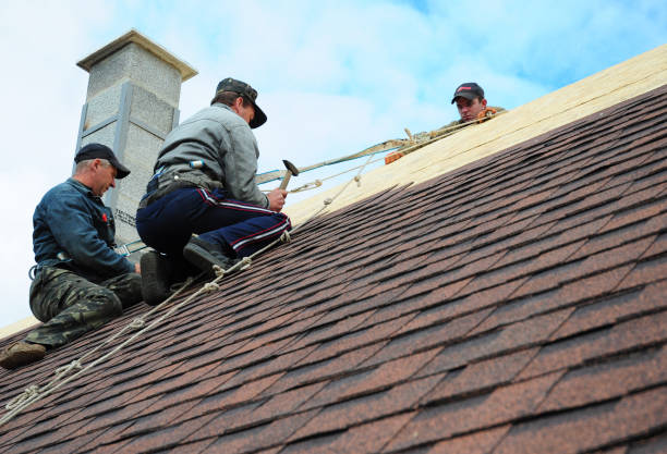 Best Metal Roofing Contractor  in Greenup, IL